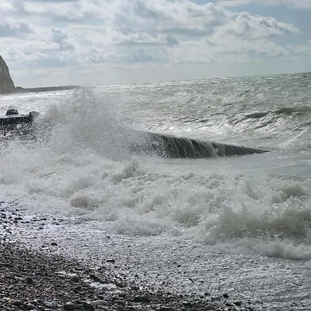 L'hippo 51 Petit-Caux