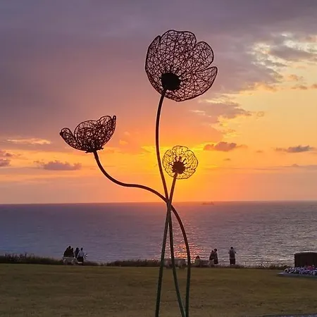 Kemp L'hippo 51 Petit-Caux